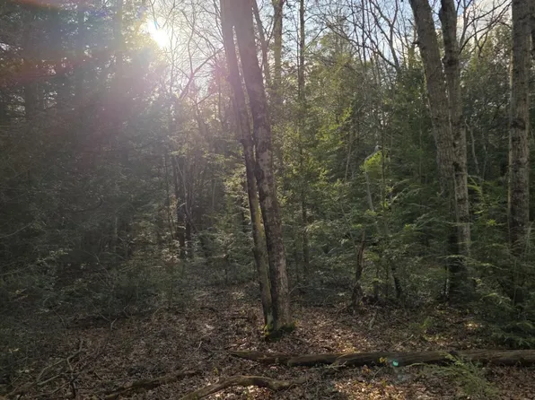 Snowy Rdg, Jim Thorpe, PA 18229