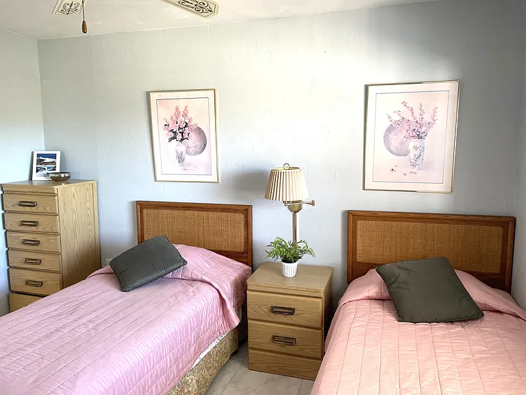 Guest bedroom-twins