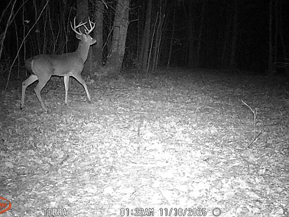 4th image of 0 Old Shook Rd