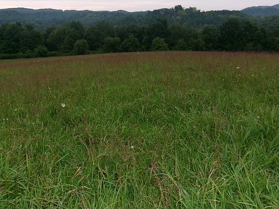 5th image of Little Acres Rd