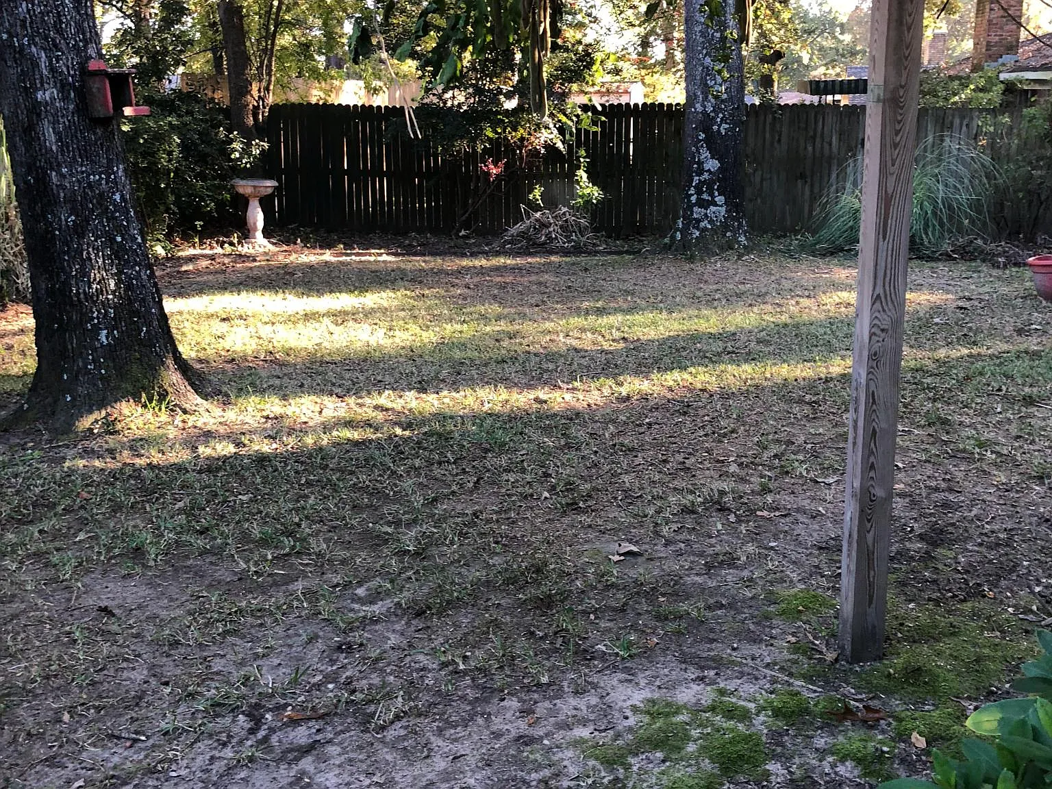 8304 Oxford Dr — Photo 4