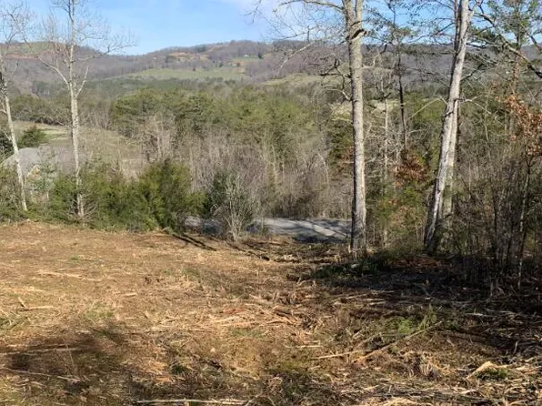 101 Putters Peak, Tazewell, TN 37879