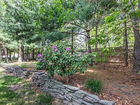 5th image of 138 Driftwood Dr