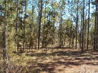 SW Viburnum Rd LOT 24, Dunnellon, FL 34431