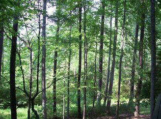 4825 Darroch Rd, Lillington, NC 27546