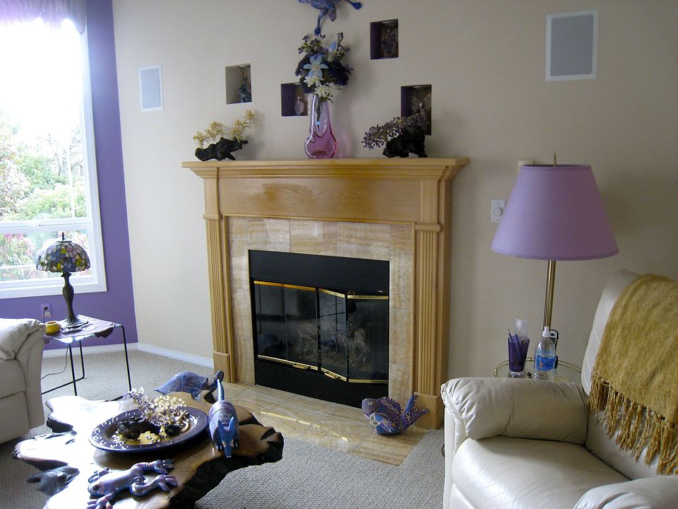 Living Room Fireplace