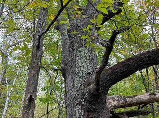 0 Cedar River Rd, Mancelona, MI 49659