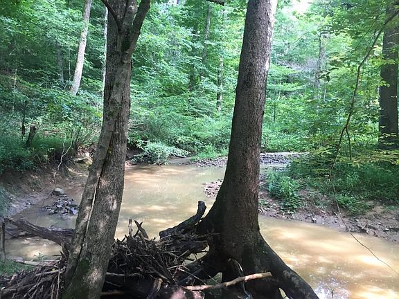 242 gannaway rd 038 (9)