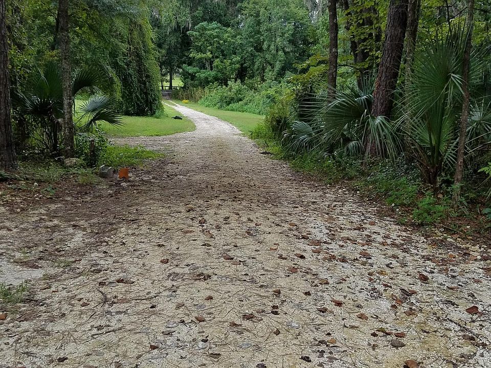 looking down driveway