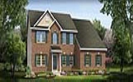 ElevationImage
