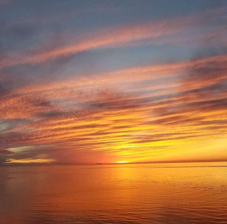 16342 Smith Beach Rd, Cape Charles, VA 23310 Zillow