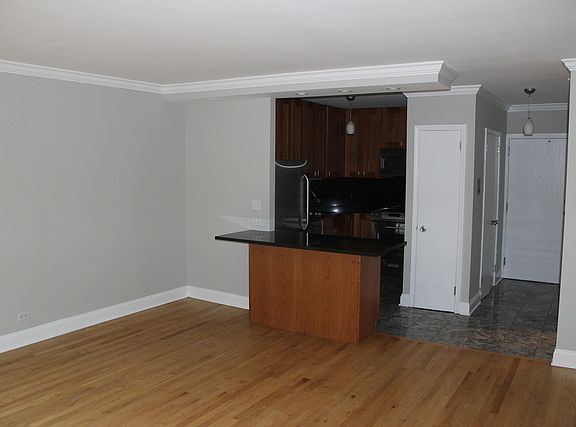 3rd image of 1550 N Lake Shore Dr APT 13F