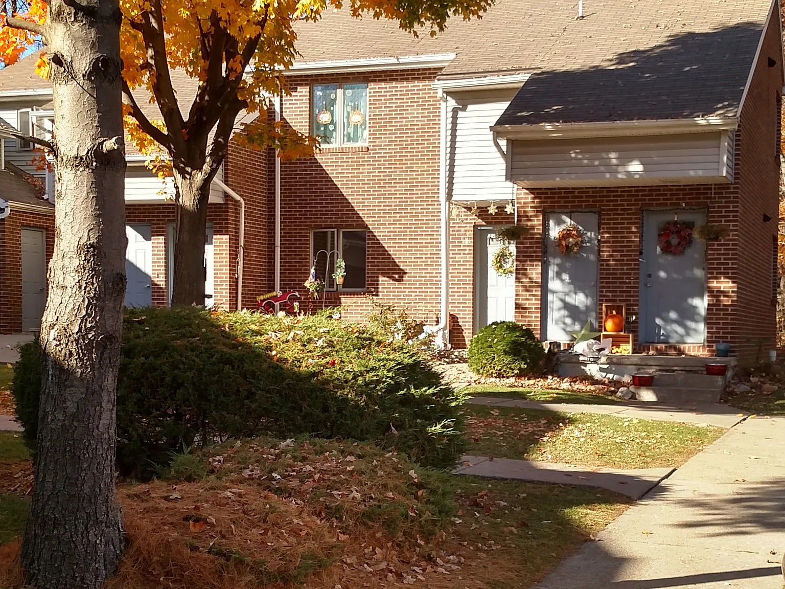 2 bed, 700 sqft, $1,350 — Photo 2
