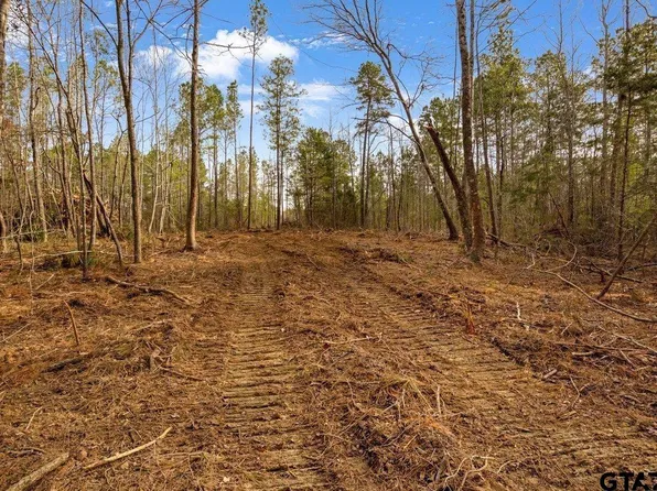 19427 County Road 2153, Troup, TX 75789