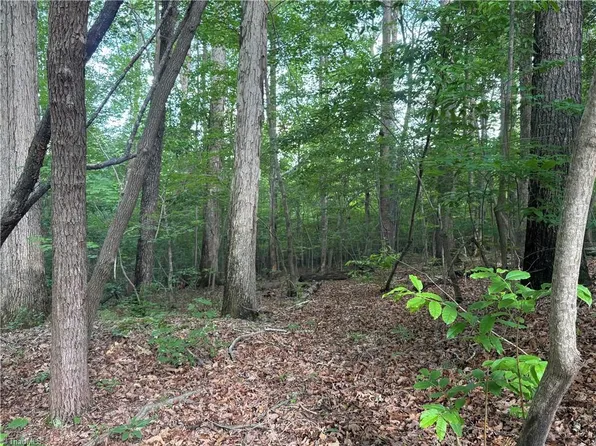 TRACT 2 Dover Church Rd, Seagrove, NC 27341