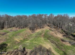 11 Strawberry Field Dr, Johnson City, TN 37604