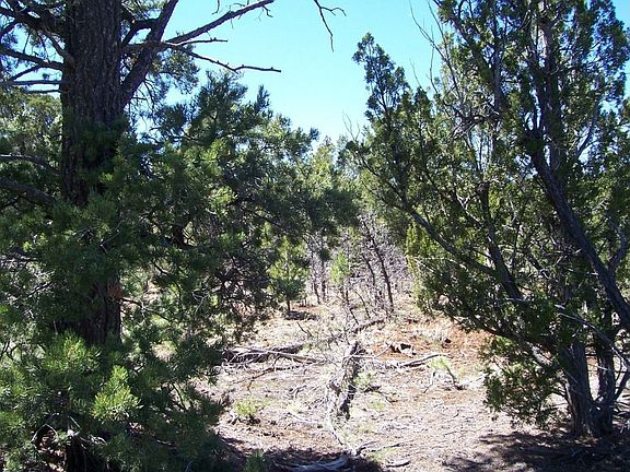 4th image of 8398 Mogollon Trl