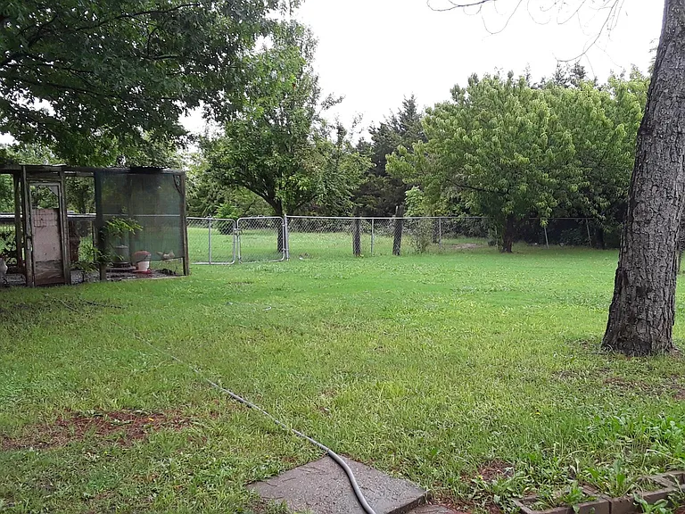 Back yard. Chicken coup