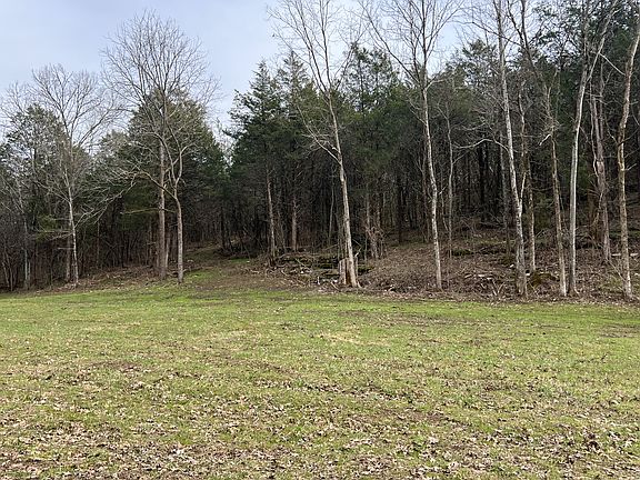 3rd image of 0 Stonewall Hwy Lot 5 & 6