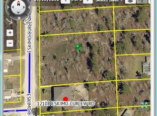 12128 Eskimo Curlew Rd, Weeki Wachee, FL 34614