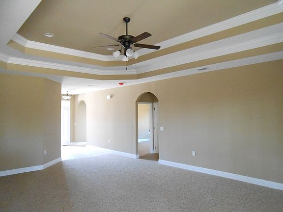 Double Tray ceiling 
