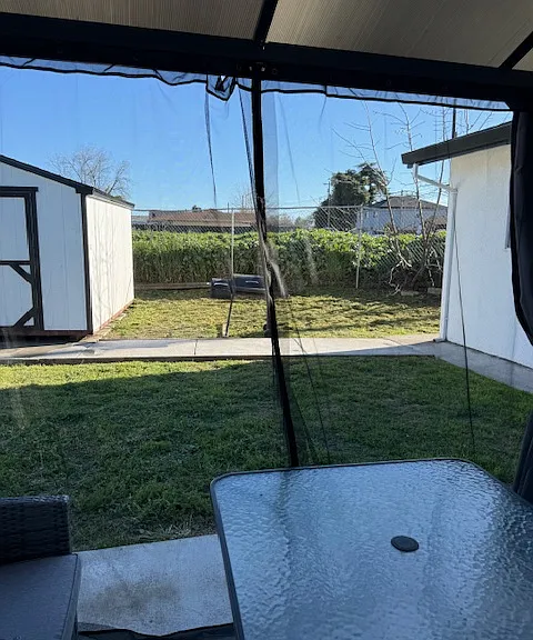 Back yard