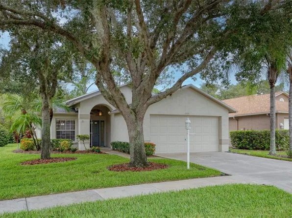 1331 Hickory Moss Pl, New Port Richey, FL 34655
