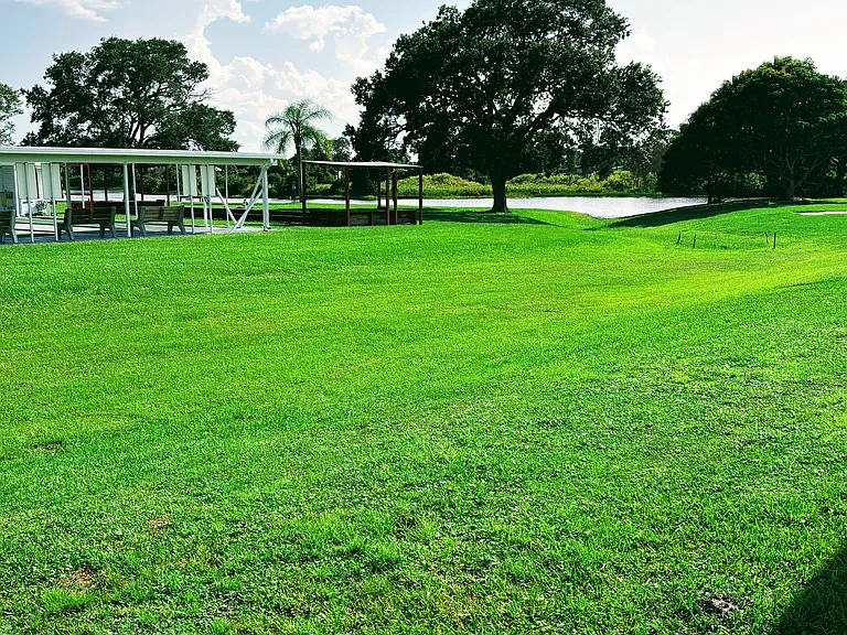 Backyard View