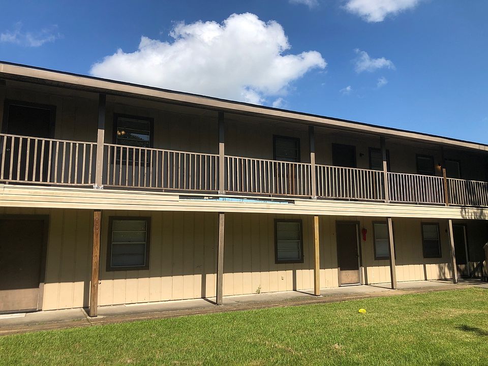 Live Oak 2_06152020