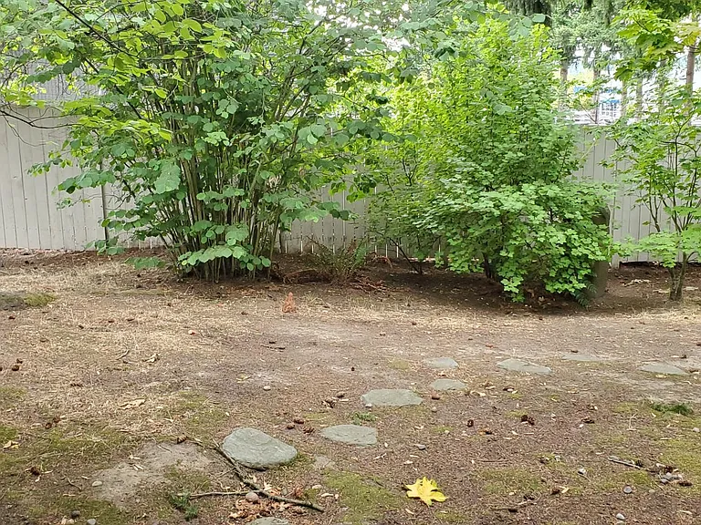 11623 127th Ln NE #C8 — Photo 2