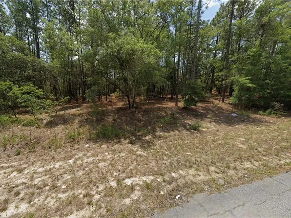 2656 W Braganza St, Citrus Springs, FL 34433