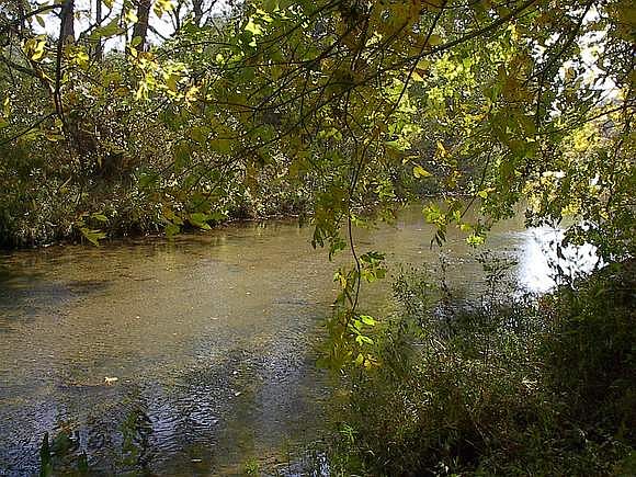 Little Reed Island Creek