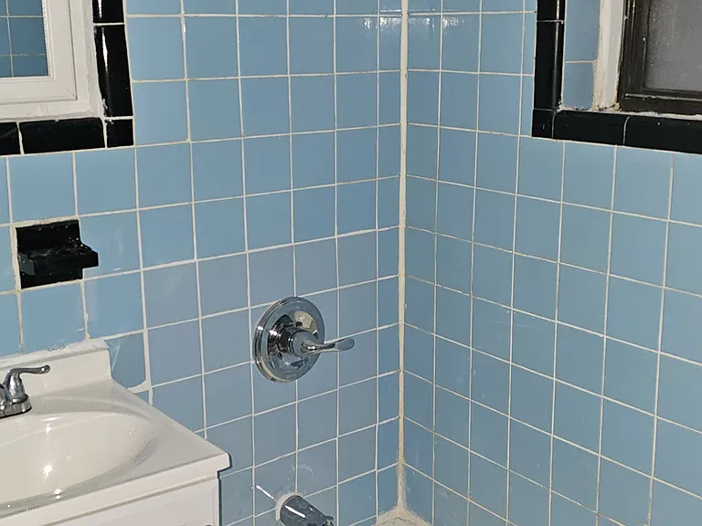 406 E 83rd St #4C — Photo 5