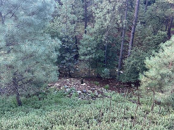 Creek view