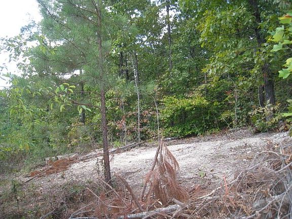 3rd image of 1056 Durgan Pl Lot 6