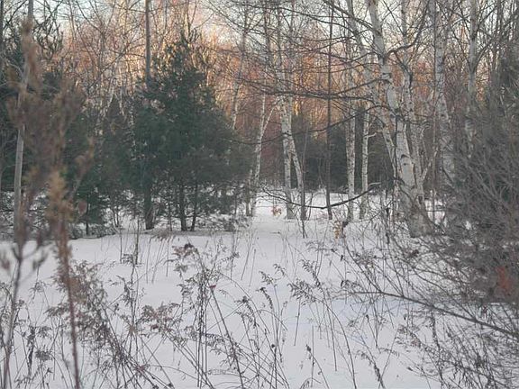 3rd image of 13583 Harmony Ln
