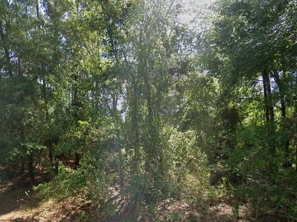 lot 84 SE 99TH AVENUE LOT 84, BELLEVIEW, FL 34420