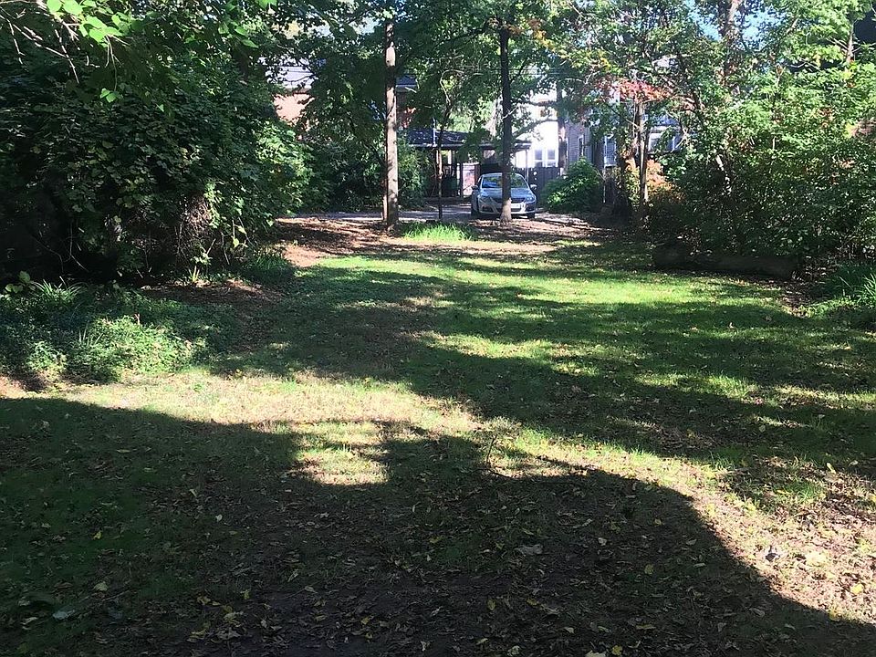 1031 S Forest - Backyard