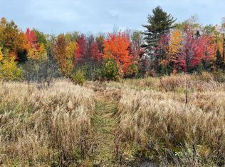 Vl Ag Loop Walsh Rd, Ontonagon, MI 49953