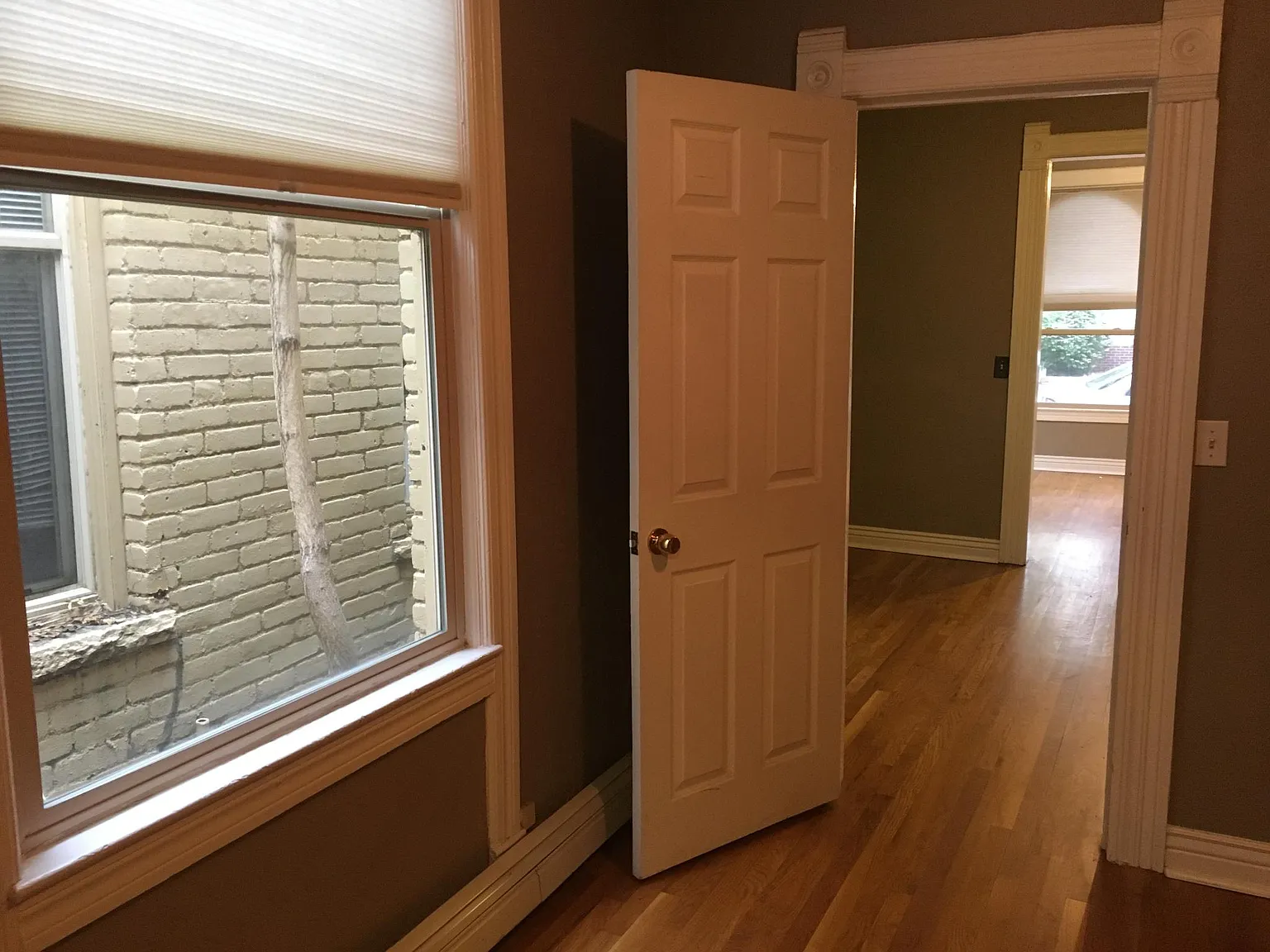 1 bed, 800 sqft, $1,900 — Photo 4