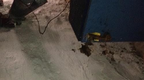 1st image of 2072 E Stella St