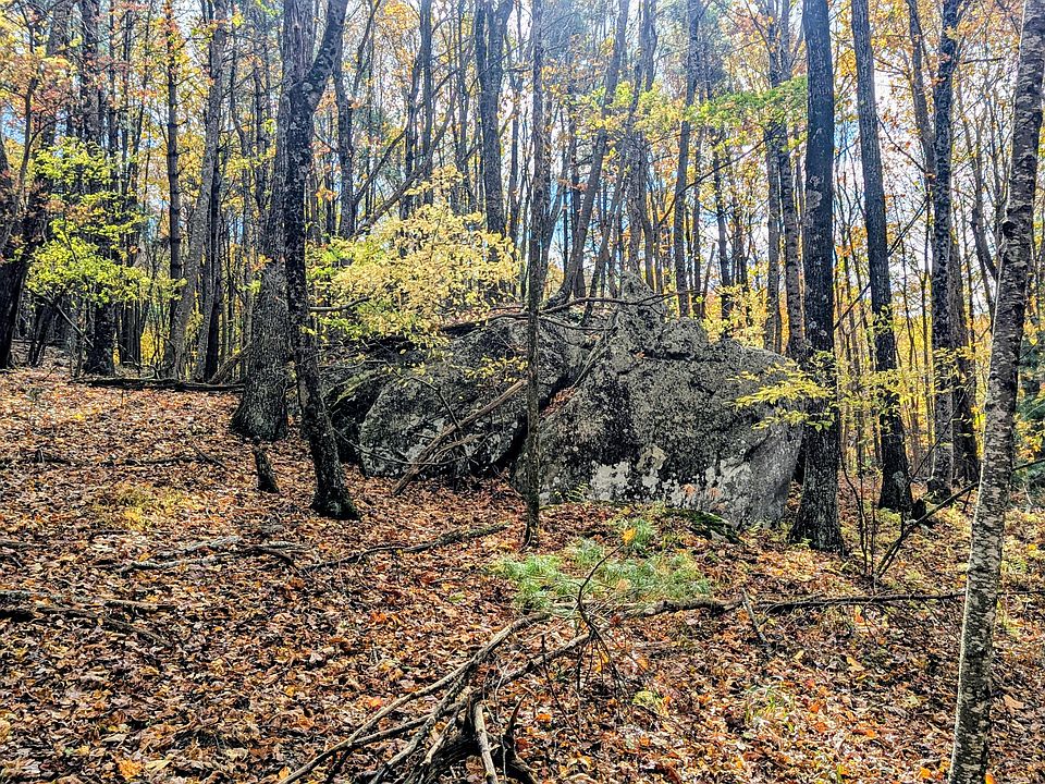 40th image of this home