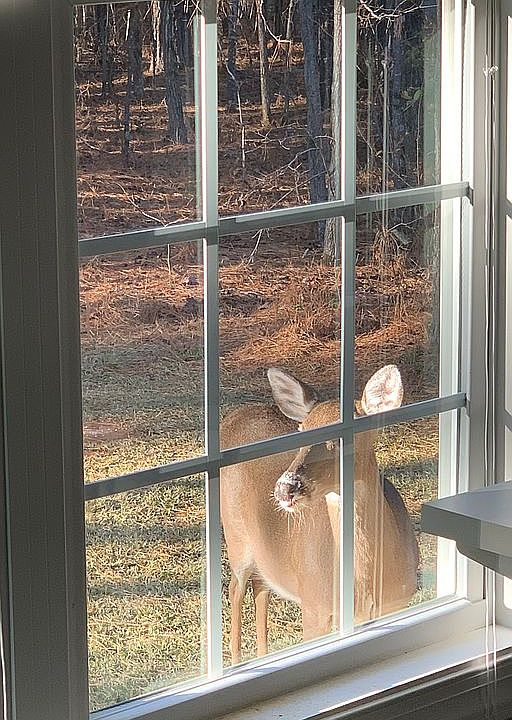 2nd image of 6238 Farrell Rd