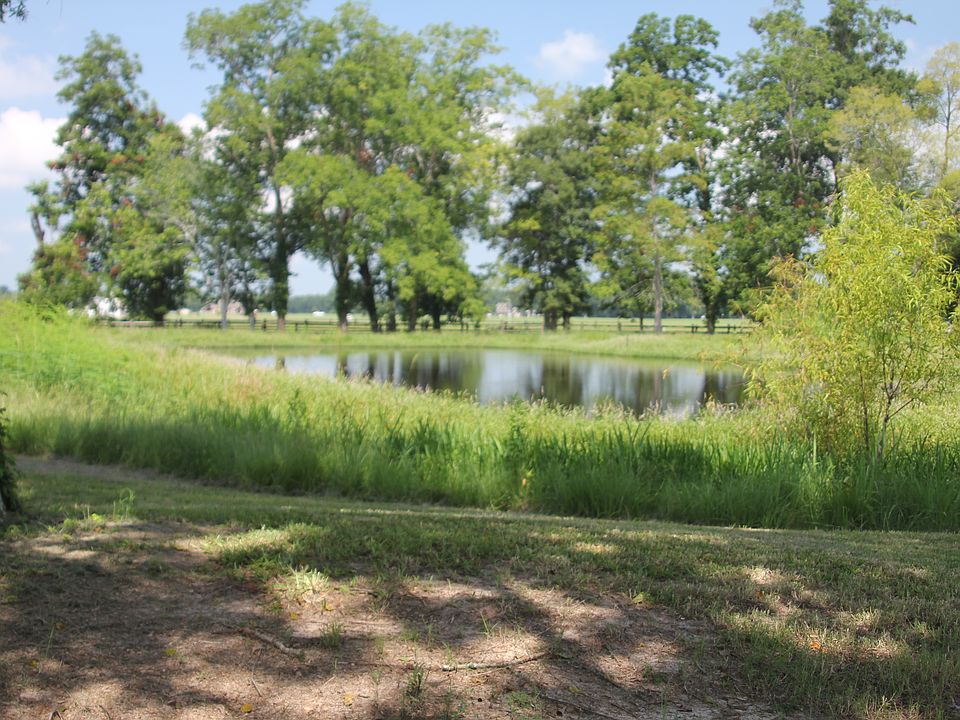 2nd image of 198 Coushatta Ln