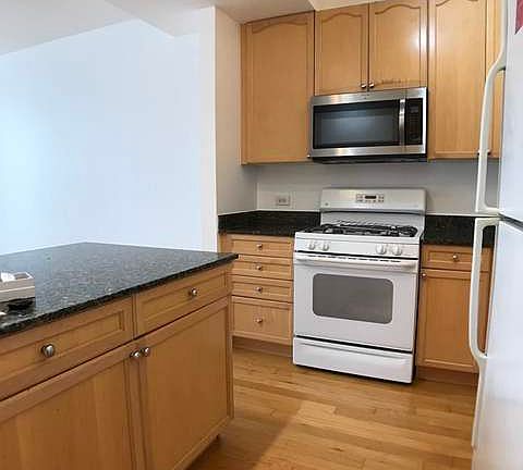 5th image of 1250 S Michigan Ave APT 2006