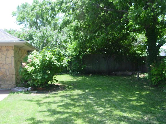 Backyard has wonderful plant life, shade trees & very private