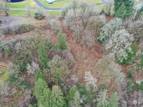 0 Scott Hill Road, Woodland, WA 98674