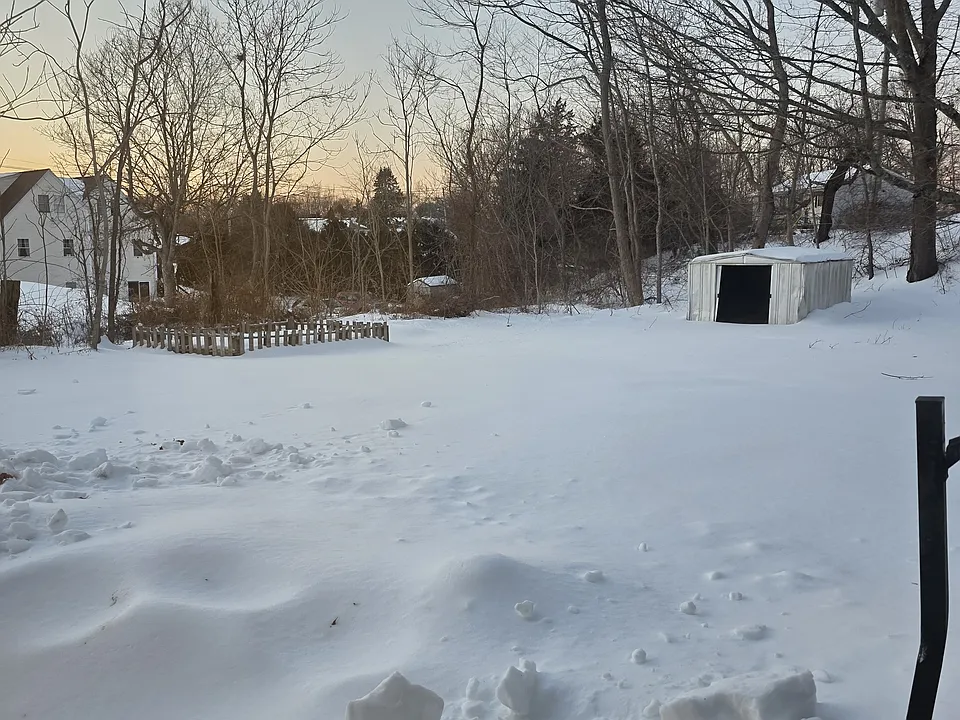 Large rear yard