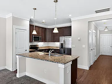 217 Button Willow St — Photo 4