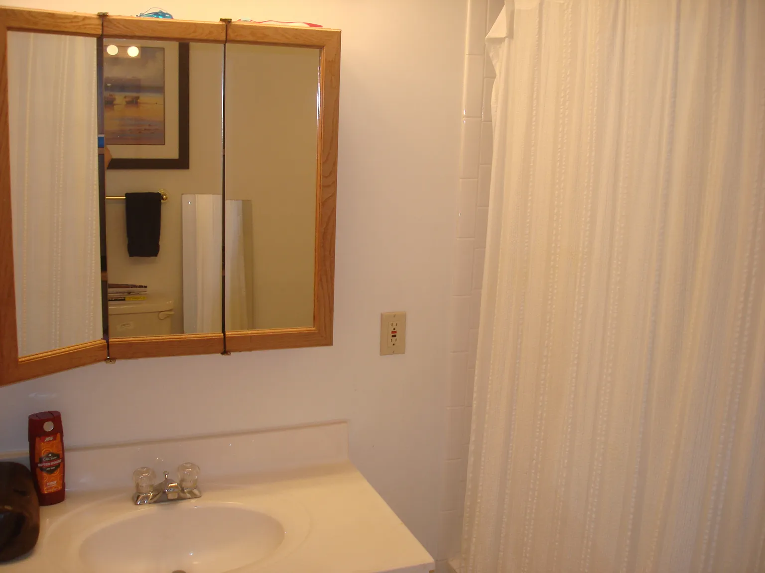 1 bed, 800 sqft, $1,395 — Photo 4